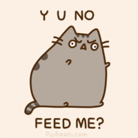 y u no feed me
